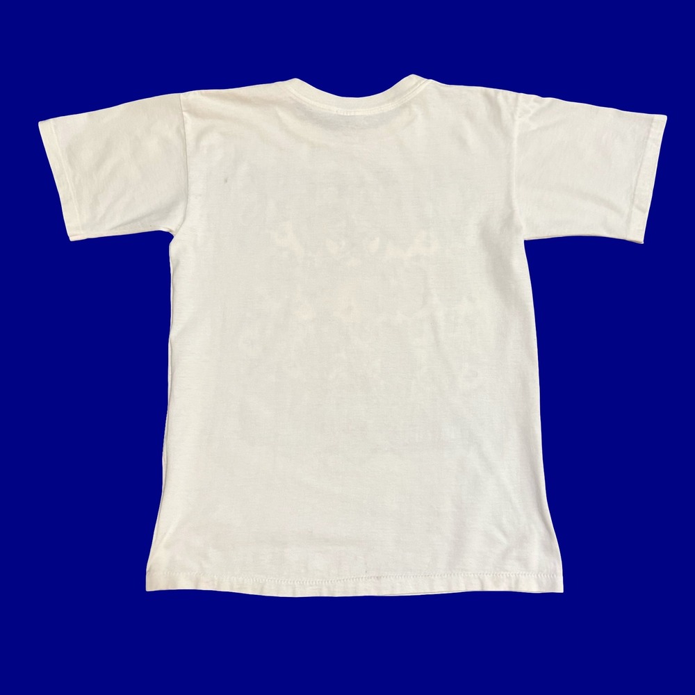 Vintage Dallas Cowboys 1993 Super Bowl XXVII‎ Champs Tee Salem Sportswear USA M - Picture 2 of 9